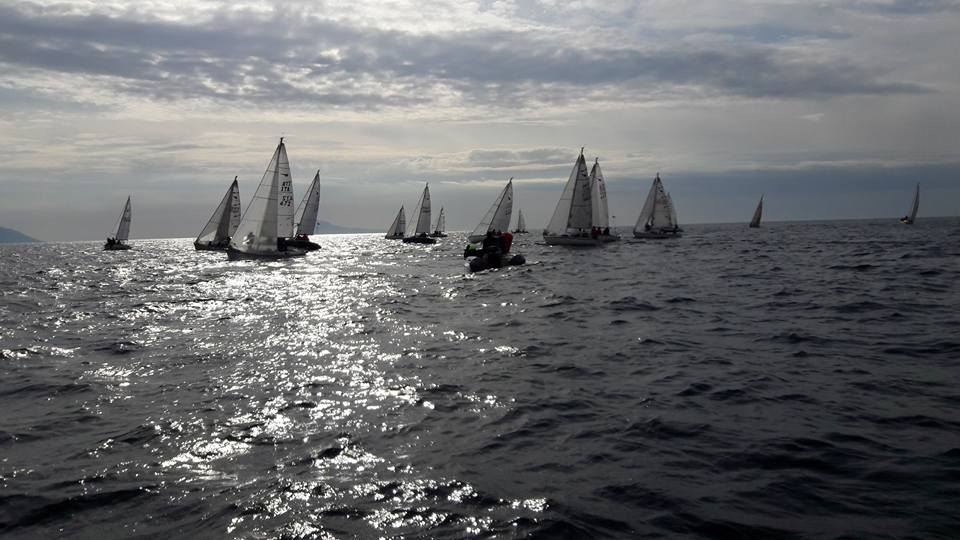 LES ALIZES - ITA-16068